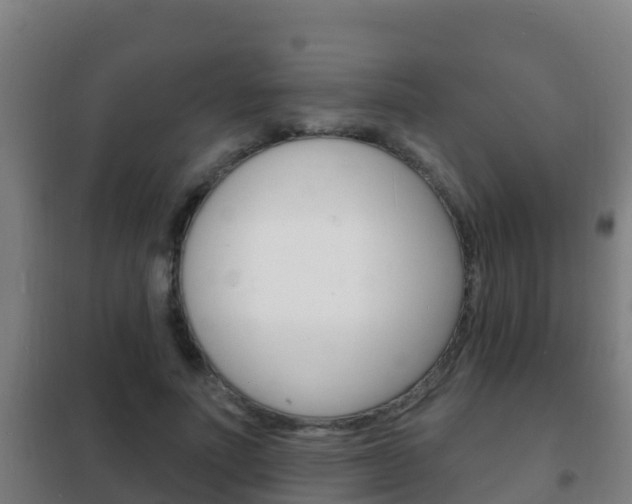 X0000102230691200807250809
