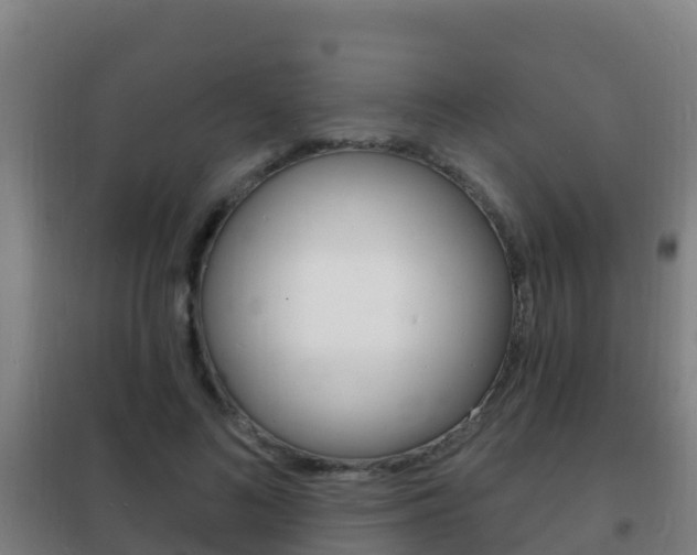 X0000102230692200807250809