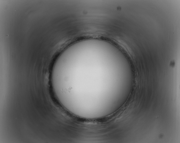 X0000102230693200807250809