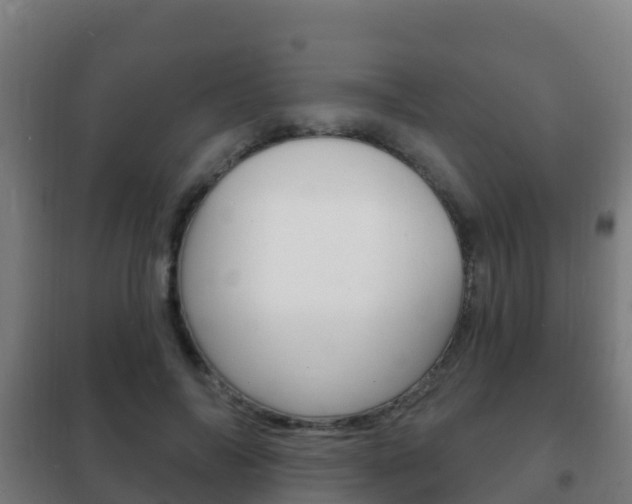 X0000102230694200807250809
