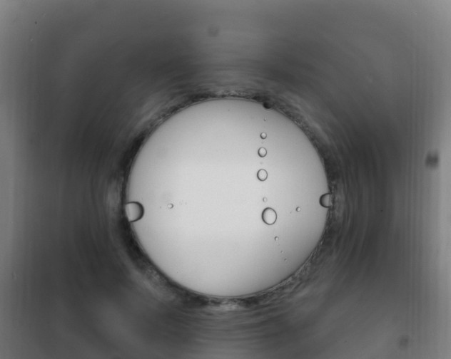 X0000102230695200807250809