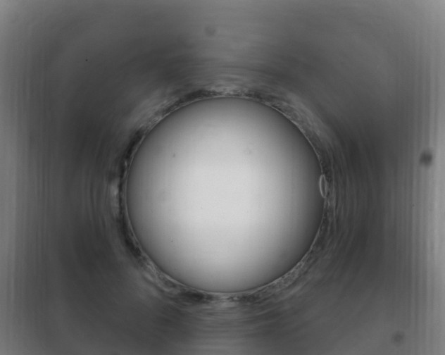 X0000102230696200807250809