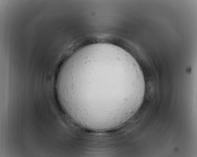 X0000102230698200807250809