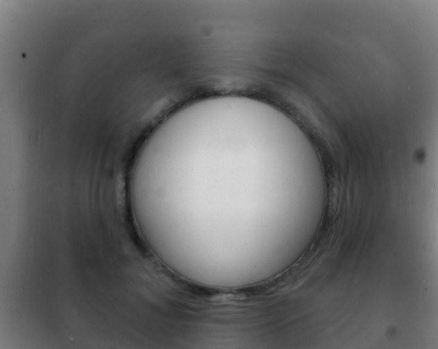 X0000102230700200807250809