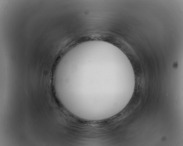 X0000102230702200807250809