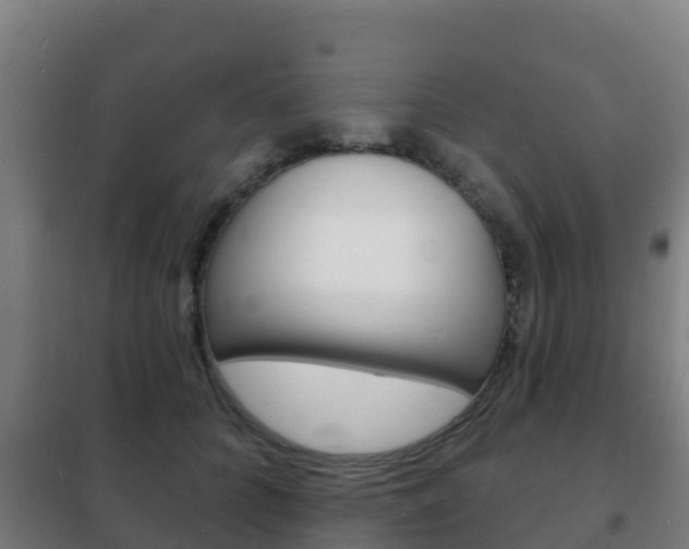 X0000102230704200807250809