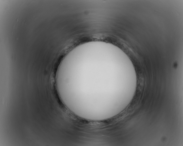 X0000102230707200807250809