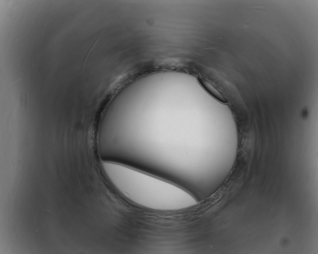 X0000102230708200807250809