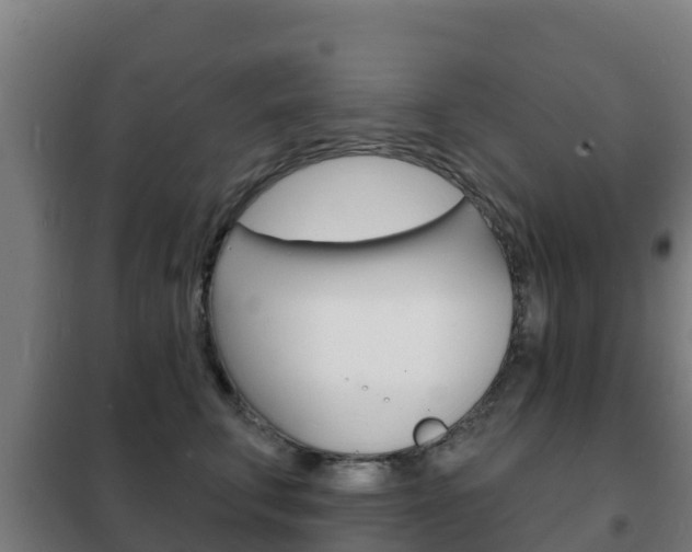 X0000102230711200807250809