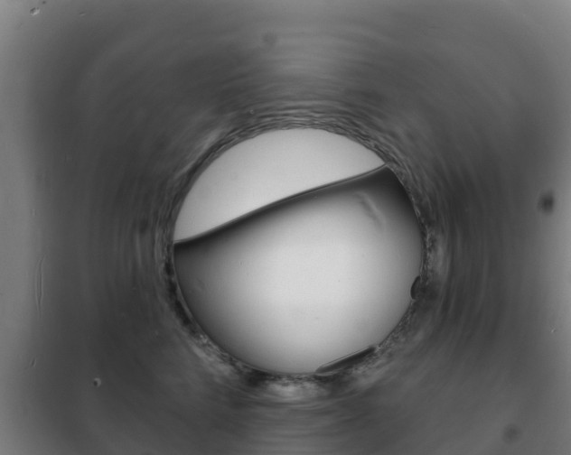 X0000102230712200807250809