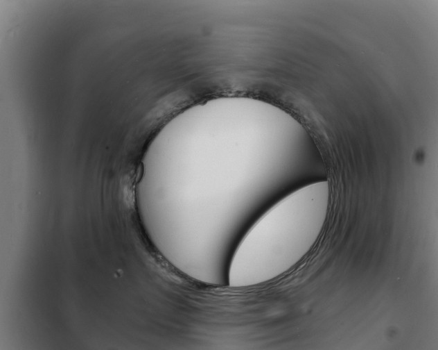 X0000102230719200807250809