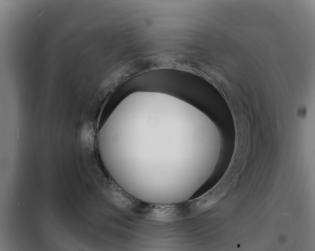 X0000102230720200807250809