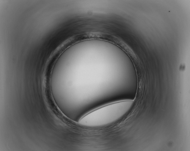 X0000102230722200807250808
