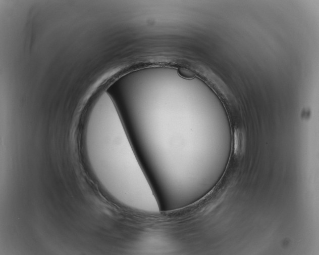 X0000102230723200807250808