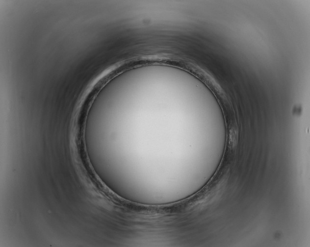 X0000102230724200807250808