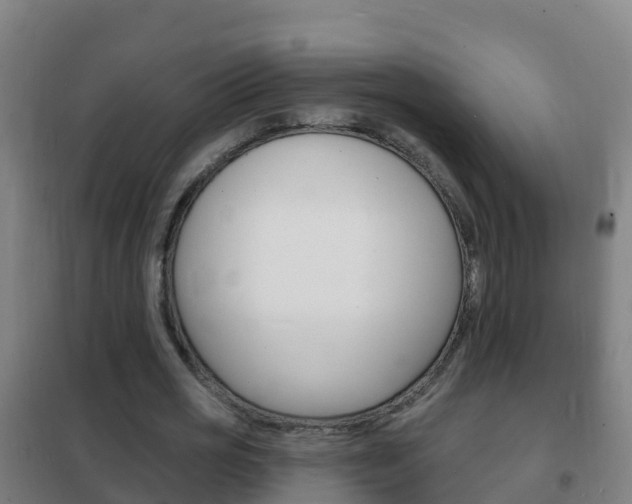 X0000102230725200807250808