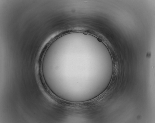 X0000102230726200807250808