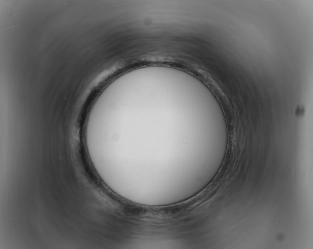 X0000102230727200807250808