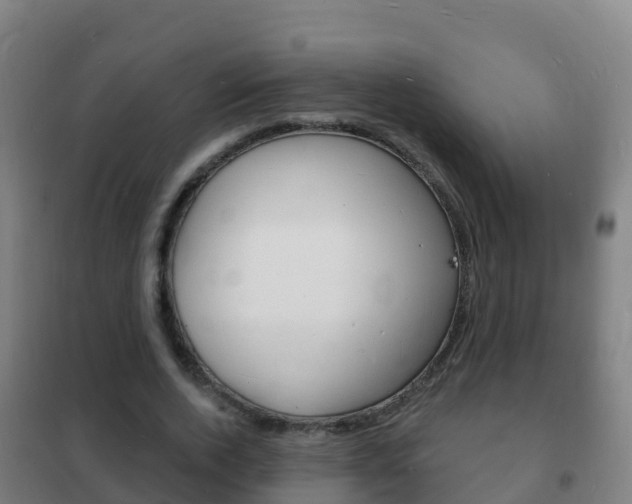 X0000102230728200807250808
