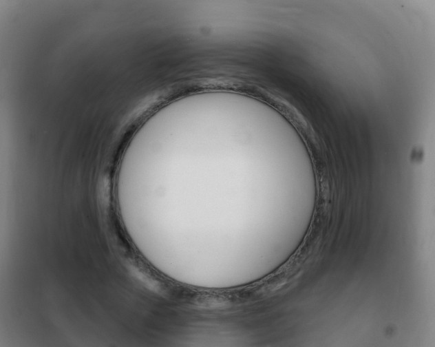 X0000102230729200807250808