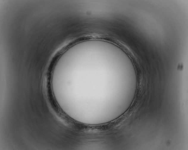 X0000102230730200807250808