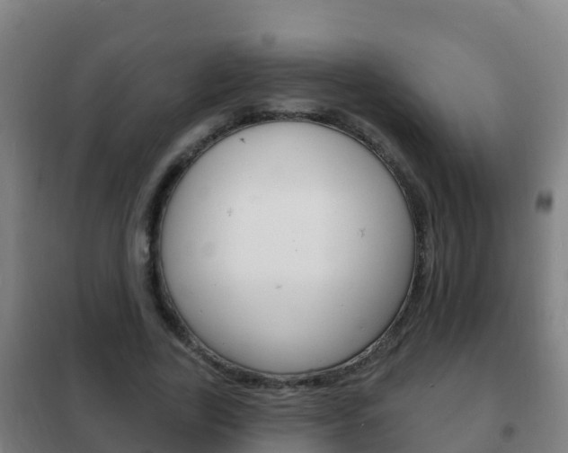 X0000102230731200807250808