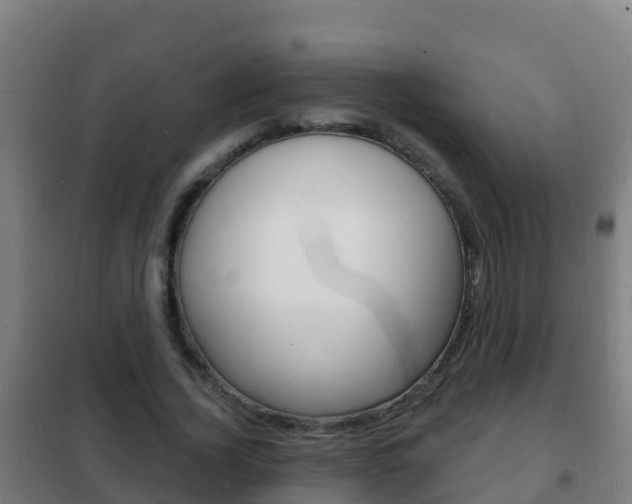 X0000102230732200807250808