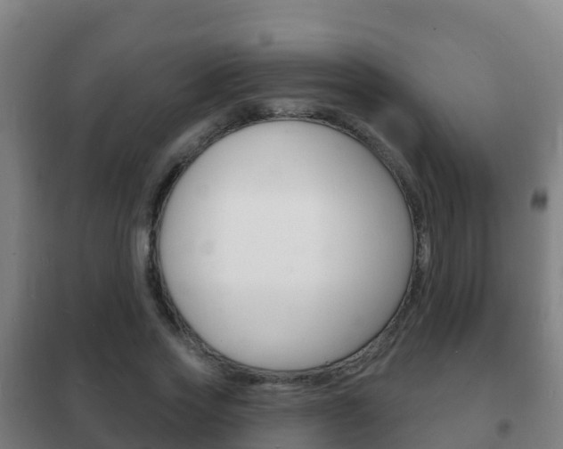 X0000102230733200807250808