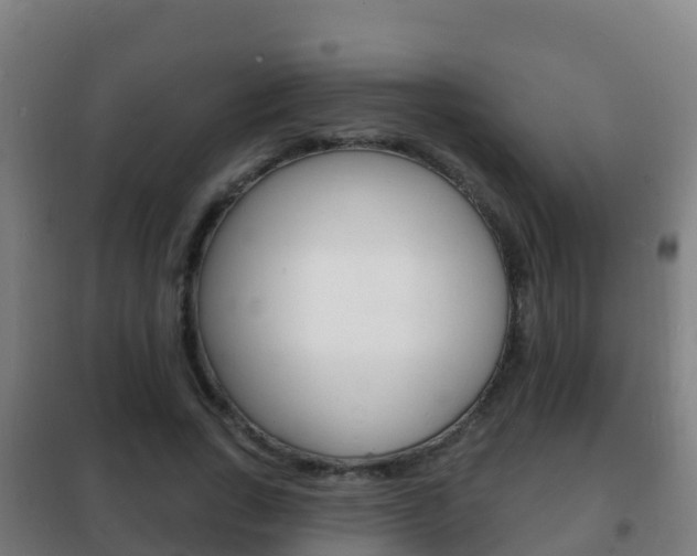 X0000102230735200807250808