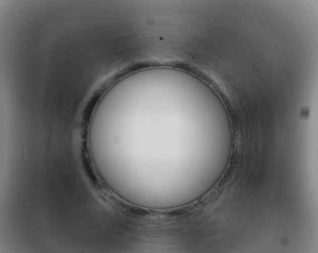 X0000102230736200807250808