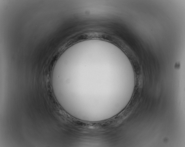 X0000102230737200807250808