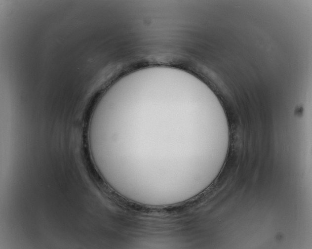 X0000102230738200807250808