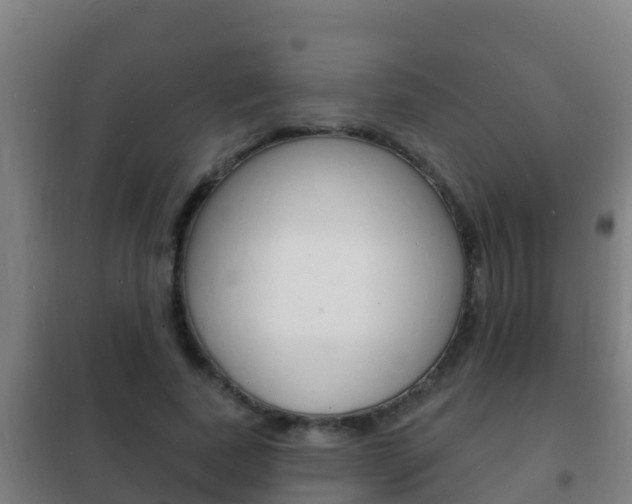 X0000102230739200807250808