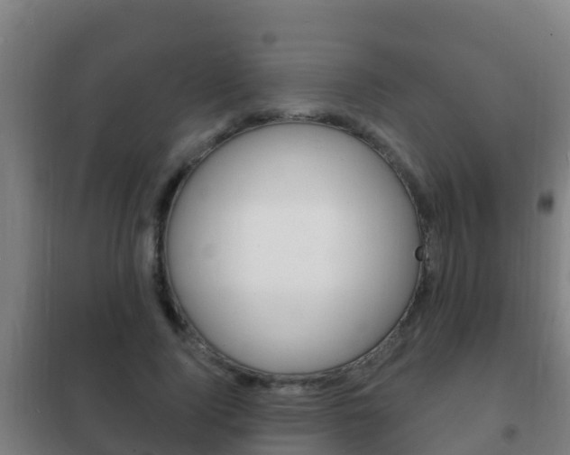 X0000102230740200807250808