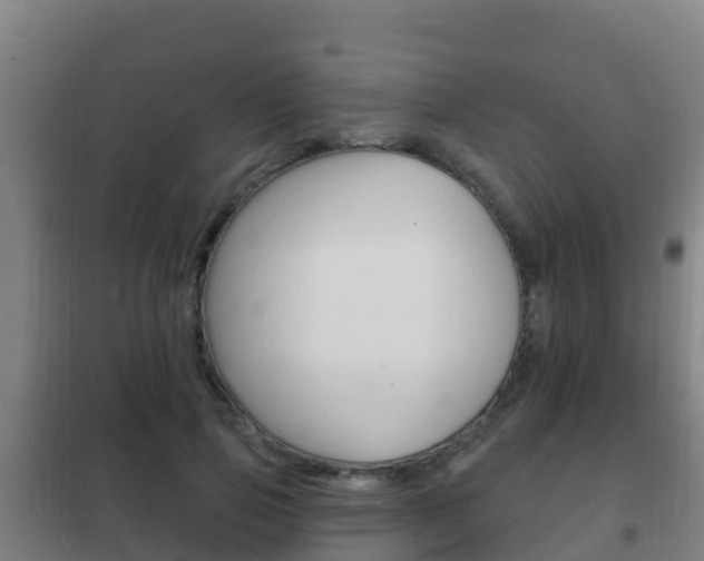 X0000102230741200807250808