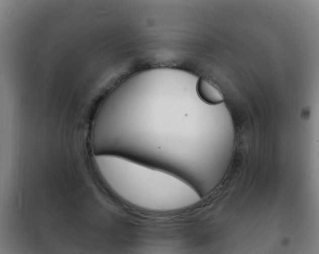 X0000102230742200807250808
