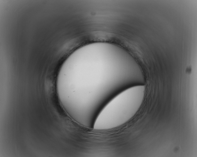 X0000102230743200807250808