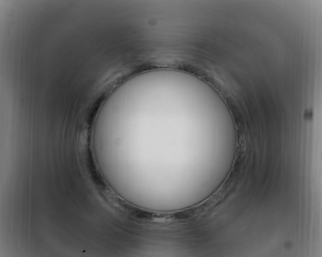 X0000102230744200807250808