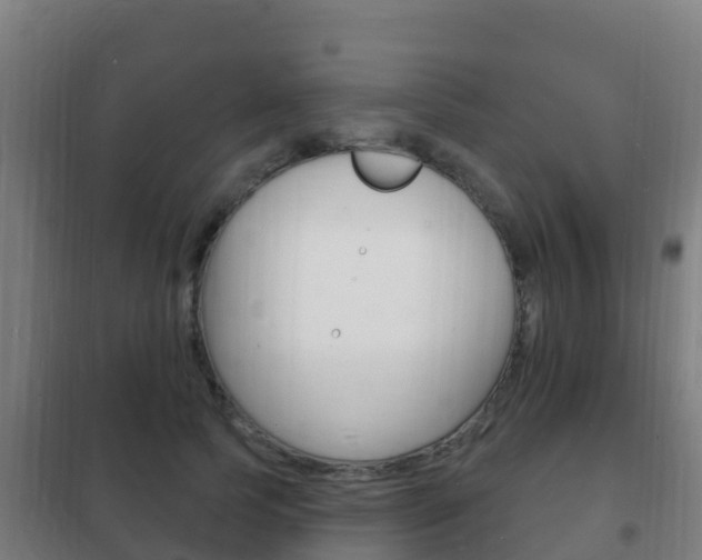 X0000102230745200807250808
