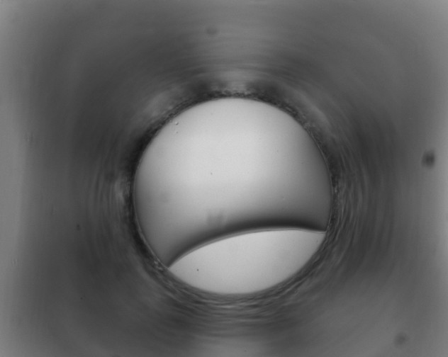 X0000102230747200807250808