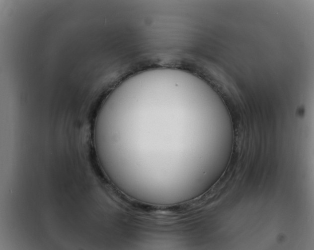 X0000102230748200807250808