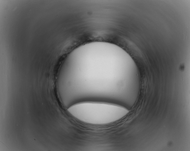 X0000102230751200807250808