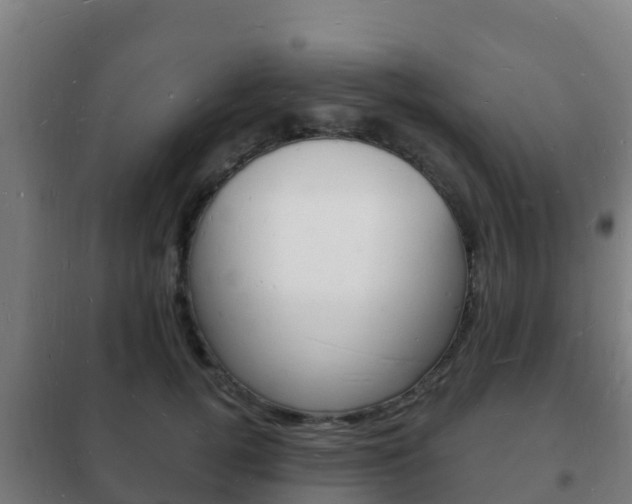 X0000102230752200807250808