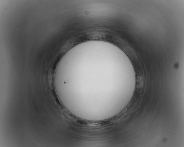 X0000102230753200807250808