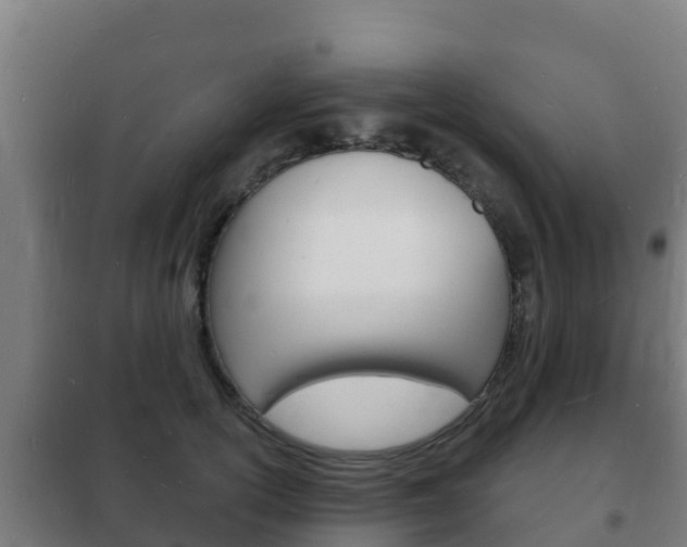 X0000102230754200807250808