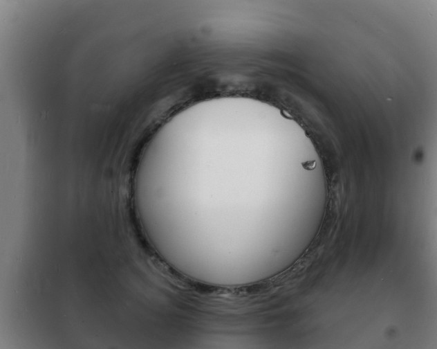 X0000102230756200807250808