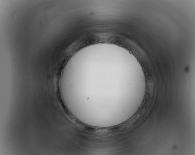 X0000102230757200807250808