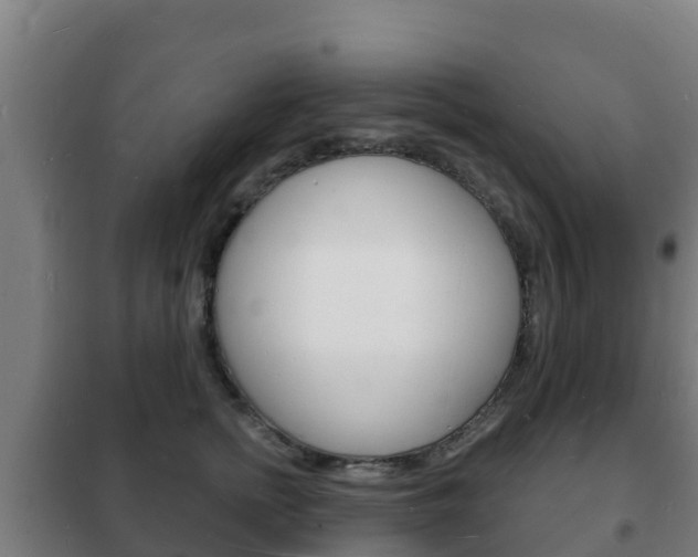X0000102230758200807250808