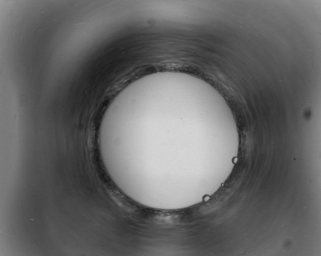 X0000102230760200807250809