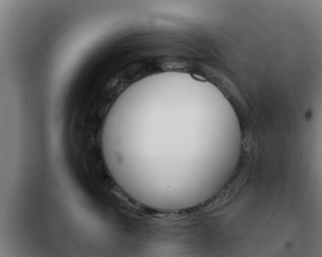 X0000102230763200807250809